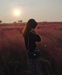 ���Ź���ȥ���� һ������������