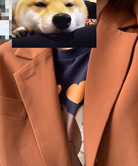 �����ˣ�������������ڴ�ʲô�·���