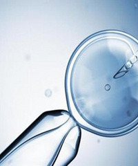 �ϴ��������� ȥС�������˺�2��ͺ���