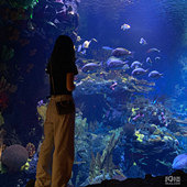 ��Ͱ�Цϲ�������˶�