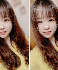 95��������ϲ���������ı�������