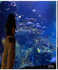 94�꺣�������Ҷ��� ��Ͱ�Цϲ���˶�