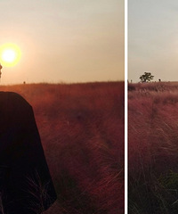 ���Ź���ȥ�������ķ�����