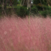 ȥ�����ķ����