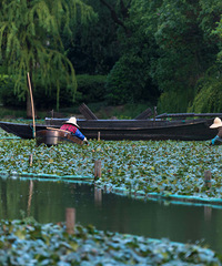 �����ڡ����Ϻ���