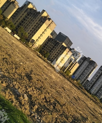 ʯѩ�׶�԰��·������Ҫ��ʲôѧУ��