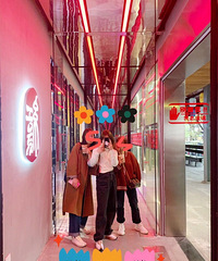 �������è��24���ţ������ ˫ʮһ�ѵ������