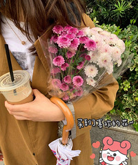 �������è��24���ţ������ ˫ʮһ�ѵ������