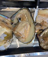 ������һ�ѿ���������