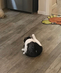 �������è��89��GG�Ҷ��� �������� ��ͥ���� ż������