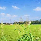 ����Ƶ� ������Ũ