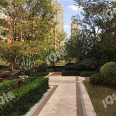 С��ū����վ����̼�