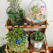 �����ݲݵ���̨