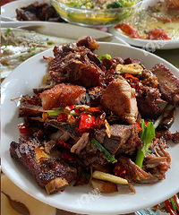 С����Ľ�������Ŵ����зζ������