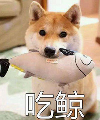 �����ĸ��Ƶ�ȽϺ� ���Ƽ��� ������