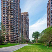 ������˹�����ֱ�����?