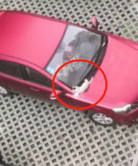 ������ͣ�� ǰ���챻������ֻ��è��