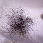 �����ѷ������أ�