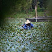 �����ڡ����Ϻ���