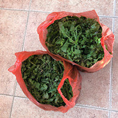 ����һ��Ұ�˼�