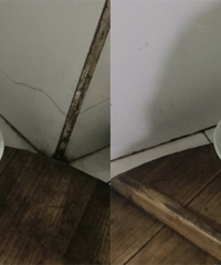 ���ӷ����� �������˿���������