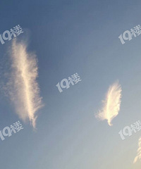 �����������ë�������̫���ˣ�