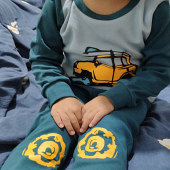 19.8��ë�������