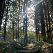 ����һ�����ռ���