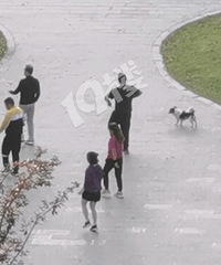 ��ĩ���ϣ����������ǻ�զ˯����