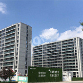 ���������Ĵ���¥��