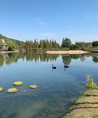 �����״�᡿28�����С���Ҷ��� ����ҽ����ҵ ��177