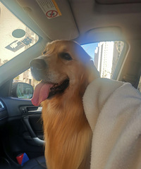 һ��һ��һèһ����