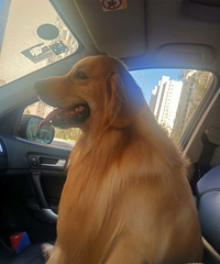 һ��һ��һèһ����