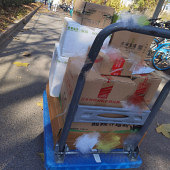 ��ݹ��ֶ౻����