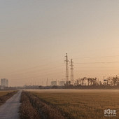 ���ϵ�����ı���