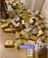 ˫ʮһ�ض�ֽ����һ�����������