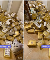 ˫ʮһ�ض�ֽ����һ�����������