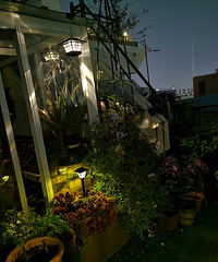 ˫ʮһ���� ���˵���װ���ҵĻ�԰