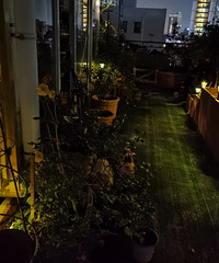 ˫ʮһ���� ���˵���װ���ҵĻ�԰