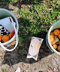 ȥũׯ��������� ����������27.9