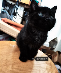 97�괴ҵ���� �������ë�����Ҹ��ְ�