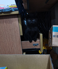 97�괴ҵ���� �������ë�����Ҹ��ְ�