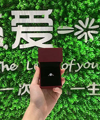 �Ϲ�������������ڵ������Լ۱Ⱥܸ�  ���̫��ò��