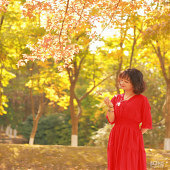 �������Ҷ���ʺ�����