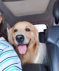 ����+��=������