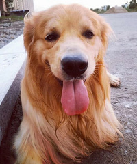 ����+��=������