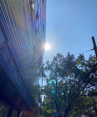 �ѹ�����֮������ѻ�Ȼ��֪����Ϊ���� ֻ֪��ǮΪ����