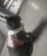 ���׵�һ��ϲ����Ů���� �������������� Լ������󲻻���