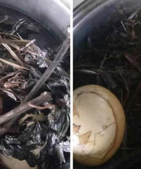 �°���쵰 ��ȥ̥����