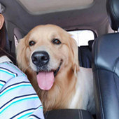 ����+��=������